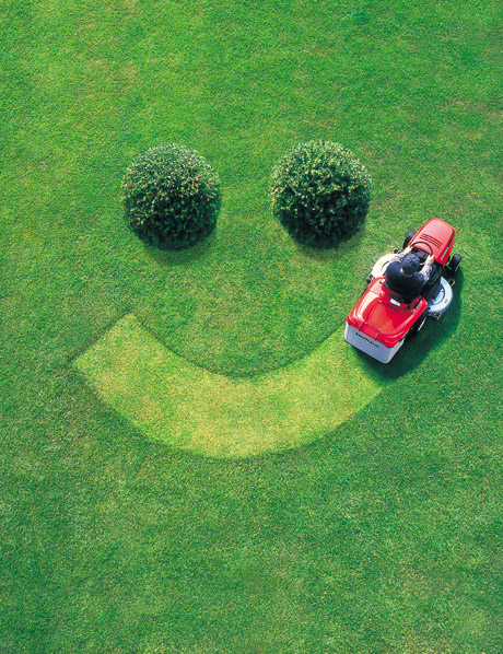 smiling face mowed into lawn