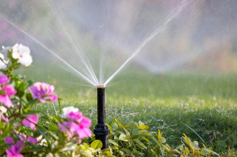 How to Choose the Right Irrigation System