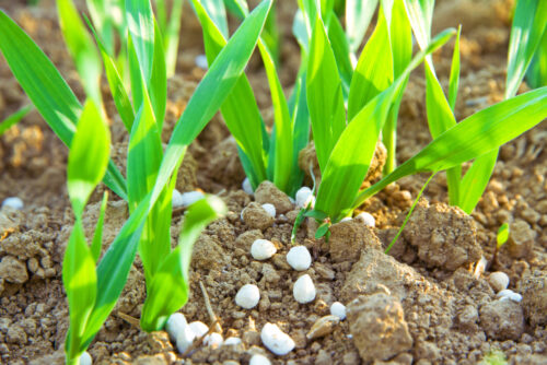 Lawn aeration
