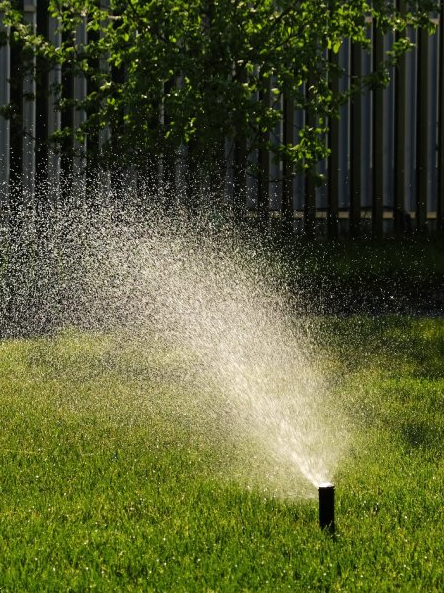 Lawn Sprinkler